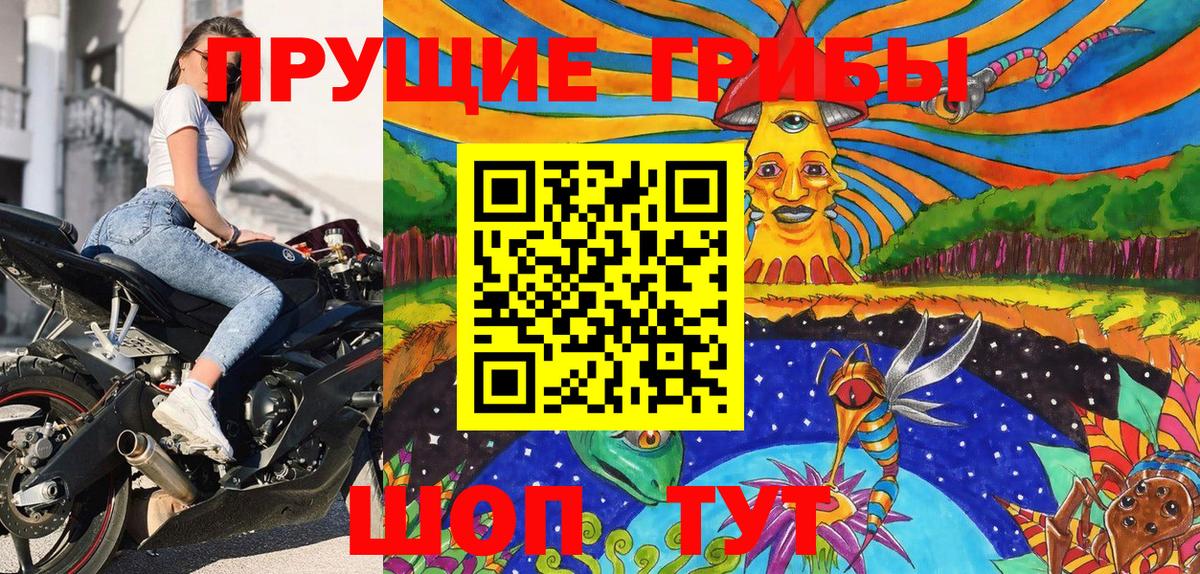Галлюциногенные грибы Psilocybe  Вход с VPN  Псилоцибиновые грибы Psilocybe  Кинель 